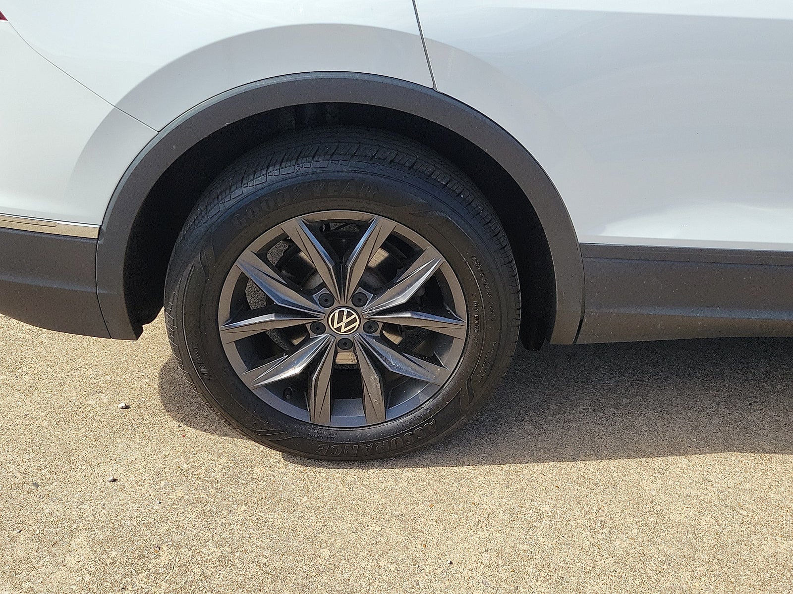 2024 Volkswagen Tiguan SE